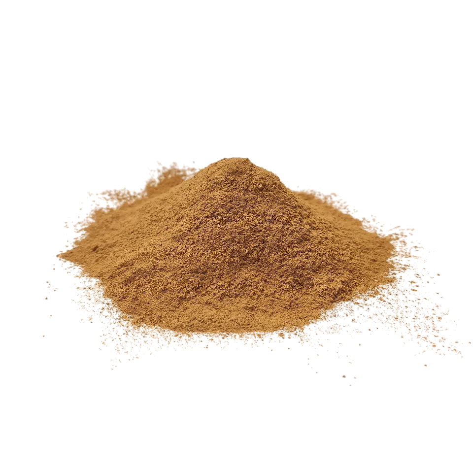 پودر دارچین