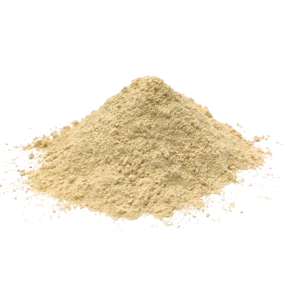 پودر زنجبیل چینی