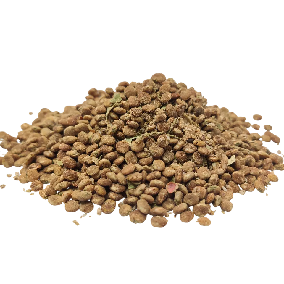 سماق قهوه ای ناساب