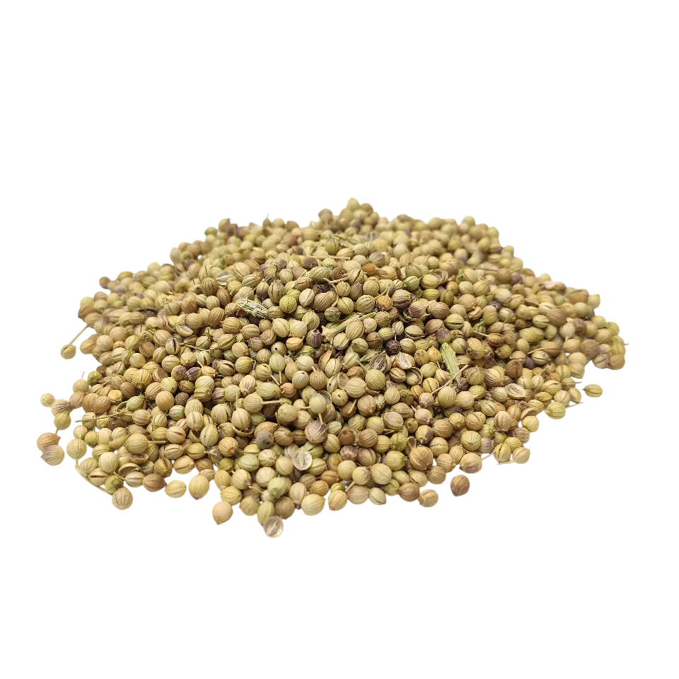 تخم گشنیز (توپی)