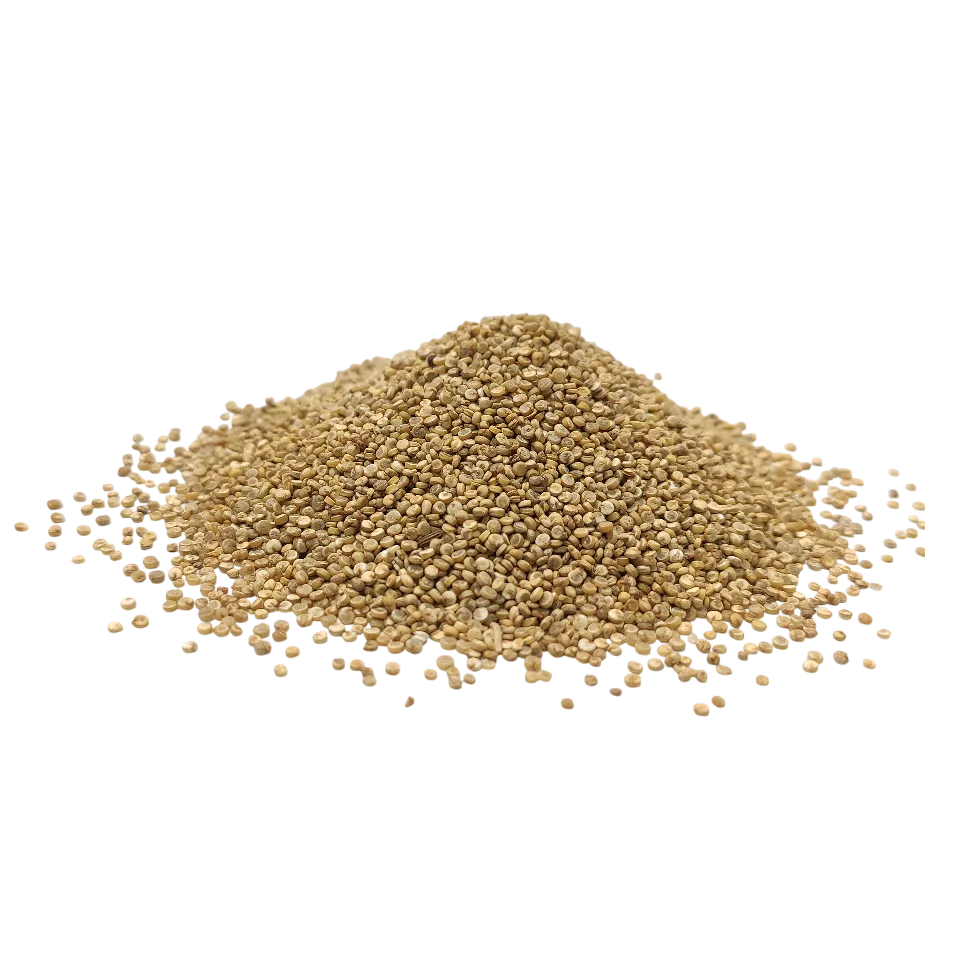 کینوا سفید (ایرانی)