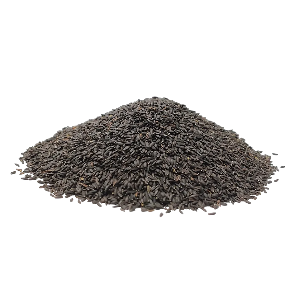 تخم شربتی درشت (بالنگو)