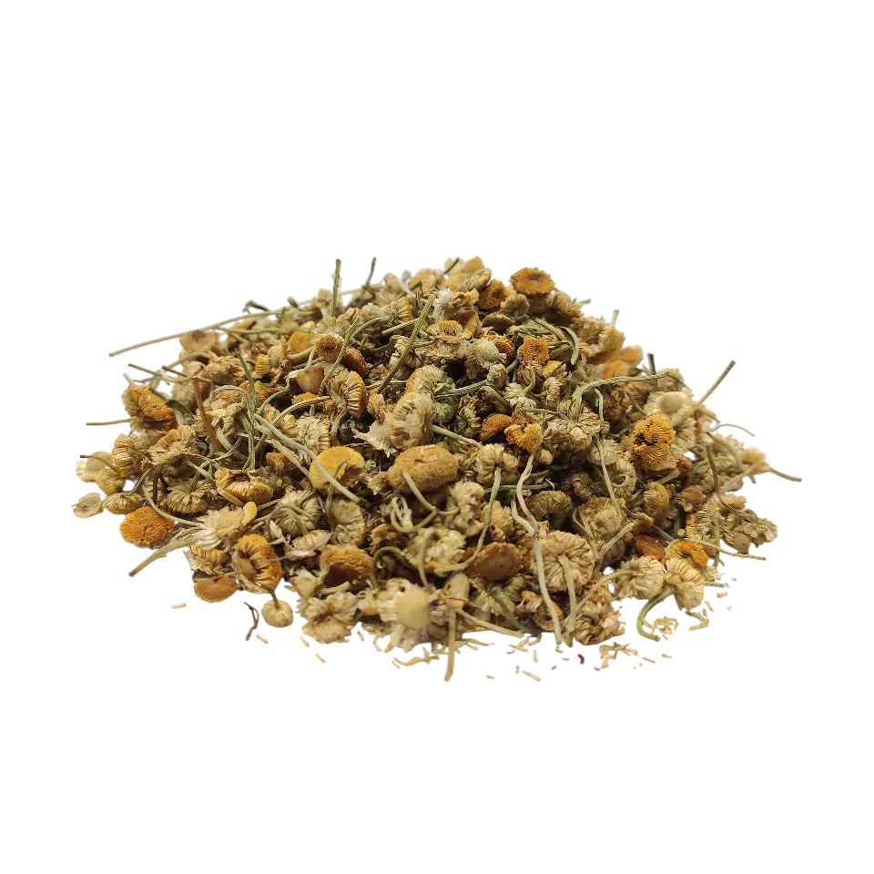 بابونه شیرازی