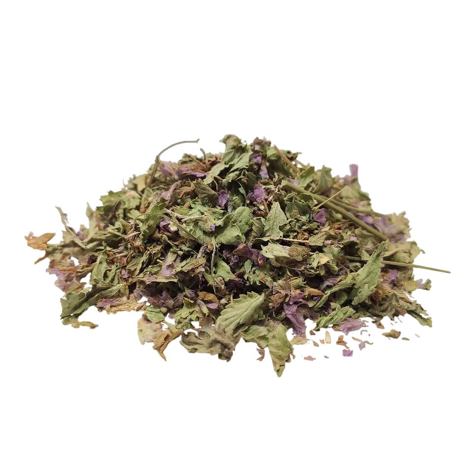 بادرنجبویه