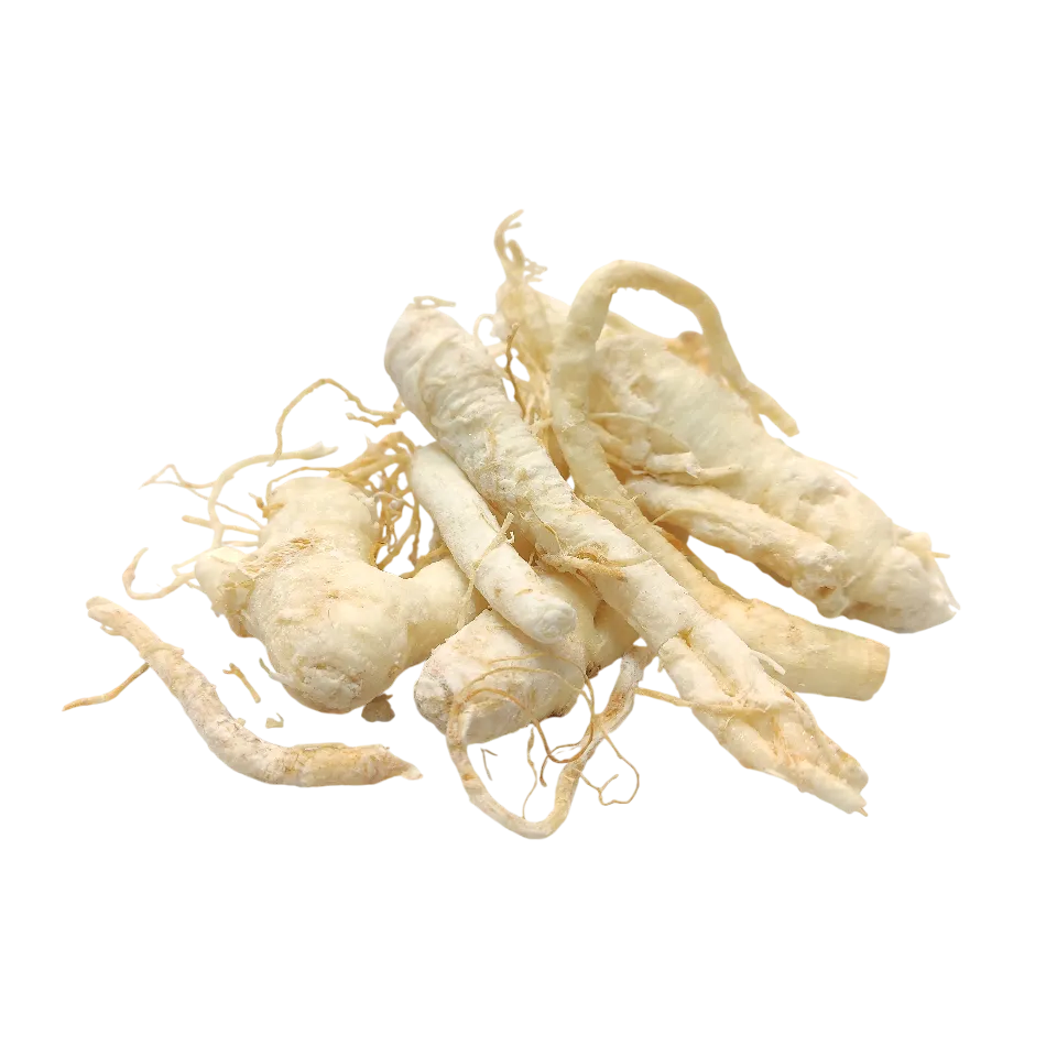 جینسینگ سفید