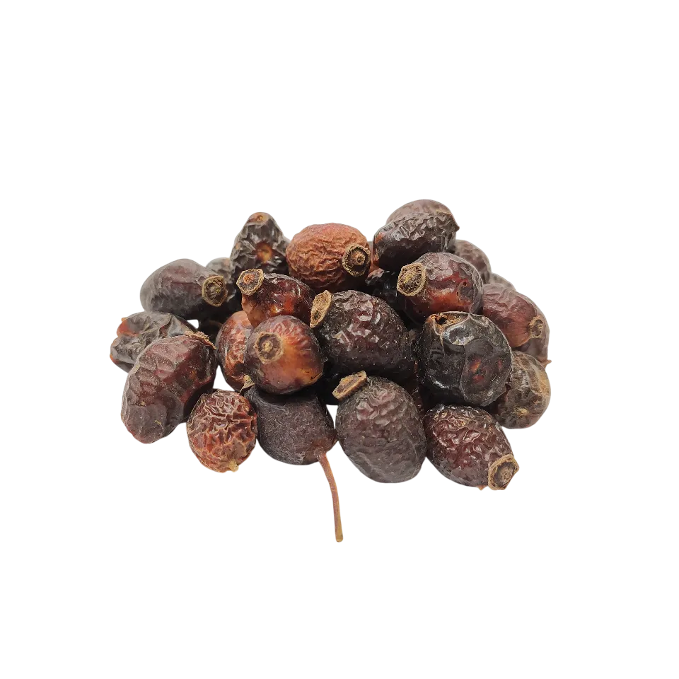 میوه گل نسترن